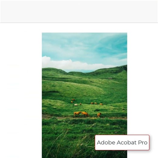 Inserting Pages in Adobe Acrobat Pro