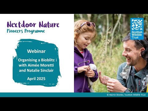 Webinar: organising a bioblitz event
