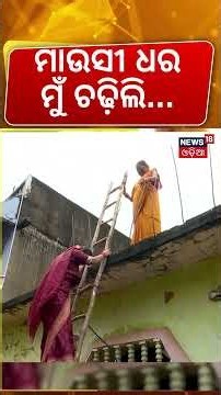 ମାଉସୀ ଧର ମୁଁ ଚଢ଼ିଲି...Maidan Re Bhauja | Odisha Flood News | Weather Update | N18S