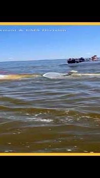 A New Jersey rescue boat needed rescuing, officials say a whale struck the vessel