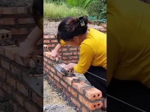 | How to Build a Strong Pig Barn with Red Bricks & Cement