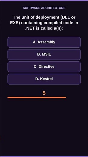 What is a .NET Assembly?