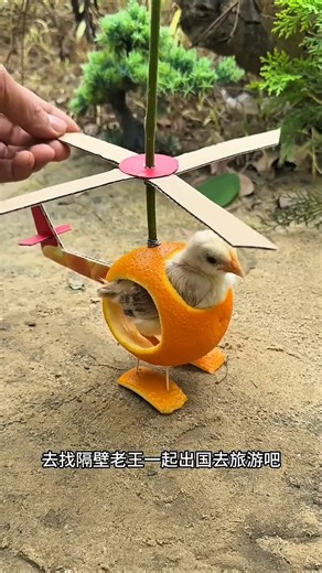 Amazing Mini Helicopter Made From an Orange! 🍊🚁🤯