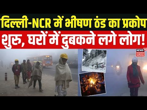 Weather Update:Delhi-Ncr में ठंड का प्रकोप, UP में भयंकर कोहरा | UP Cold | IMD Alert | Breaking News