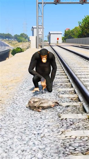 GTA V : DOGS TEACH US PURE LOVE 🥺| Part 614