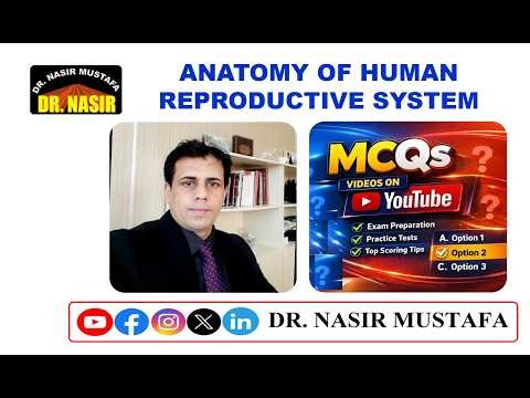 🎥 MCQs on Anatomy of Human Reproductive System