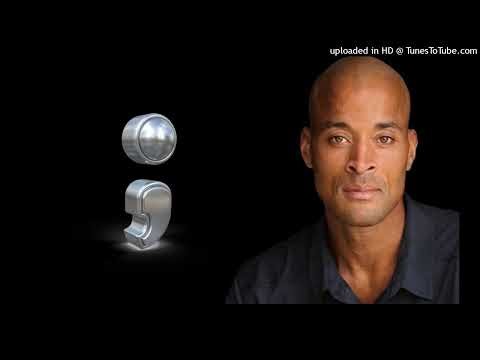 “David Goggins"