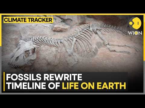 Jiangchuan Fossils Transform Evolution Understanding | Early Complex Creatures Found in China | WION