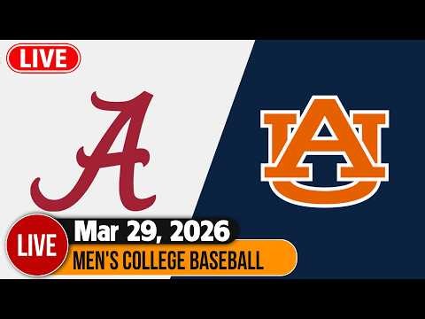 Jungle Fury Showdown: Unleash Wild Power in TFT Patch 16.6 Arena