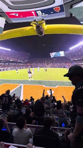 Luther Burden III Touchdown vs. Patriots | The NFL at Cosm