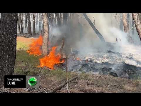 Top Channel/ Pylli i Sodës 3 orë mes flakëve! Shuhet zjarri, por mbetet rreziku. Vijon monitorimi