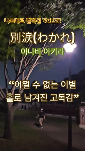 '이나바 아키라' 특유의 애수 어린 서정적인 미성 | 別涙(わかれ) - 因幡晃