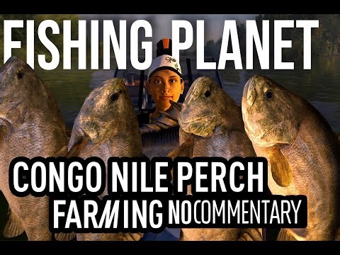 Ultimate Congo River Grind — Catching Massive Nile Perch (No Commentary, 1.5 Hours)