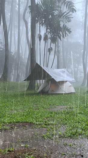 AMAZING HEAVY RAIN‼️ Relaxing camping in rain sounds (ASMR) #campingintherain #shorts