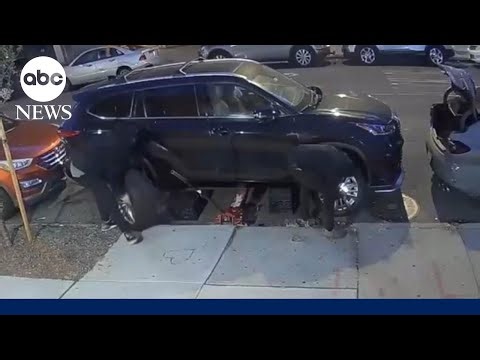 16 indicted in $1M Bronx auto-theft ring