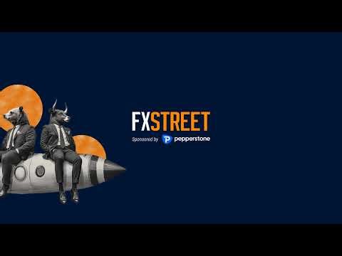 Off the Charts with Wayne McDonell