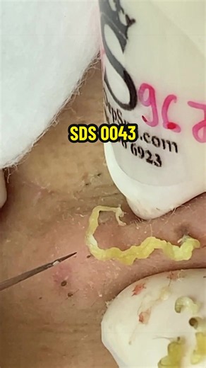 Relax | SDS 0043 | Relaxing Videos