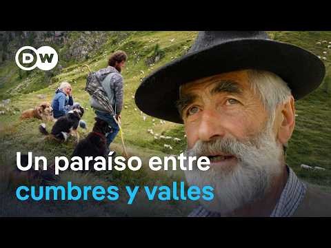 Los Dolomitas - Verano en los Alpes italianos | DW Documental