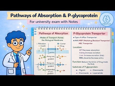 Drug Absorption|p-glycoprotein|General pharmacology|2nd yr MBBS pharmacology