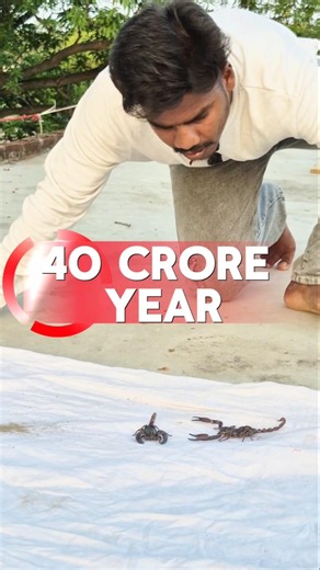 😱Black Scorpion के बारे में ये बात 99% लोग नहीं जानते!🦂?#scorpion #animals #facts#viralvideo#shorts