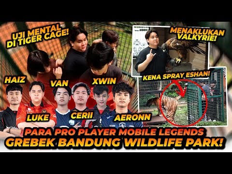 BTRP UJI MENTAL MASUK KANDANG HARIMAU! SAMPE ADA YANG DI KENCINGIN HARIMAU!?