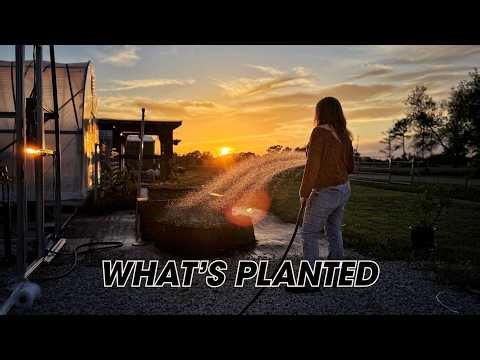 Spring Farm Update: What We Planted and Why (Hoop House + Garden Walkthrough)
