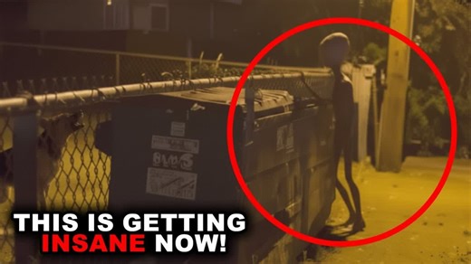 CCTV Camera Captured the Clearest Image of a Strange Creature — Could This Be the Grey Alien | Aliens UFO Caught on Camera