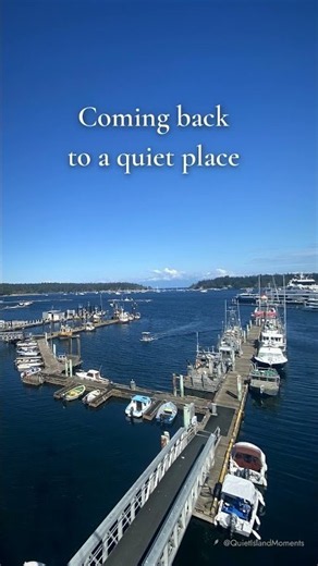 Every Boat Comes Home ⚓ Nanaimo Harbour, Vancouver Island