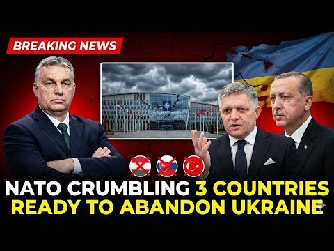 The Breaking Point: Why 3 NATO Countries Are Ready to Abandon Ukraine || Rachel Maddow