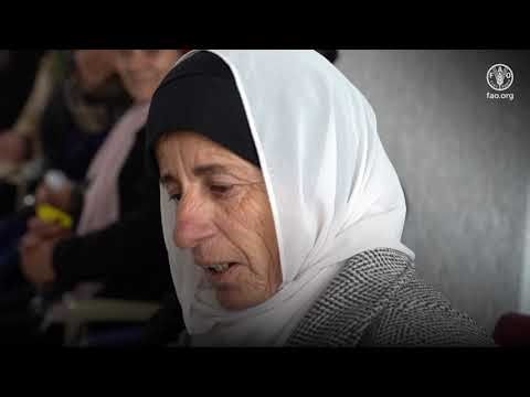 FAO and UK for International Development celebrate International Women’s Day with Women in Syria