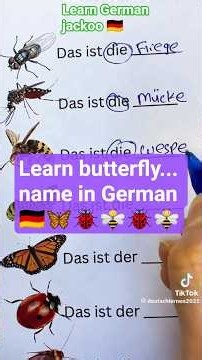 Butterfly in German 🦋| Easy German Words | #learngerman #germanvocabulary
