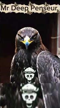 living dinosaurs ☠️☠️