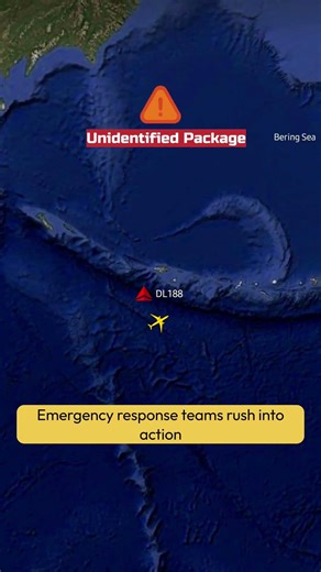 Seoul, South Korea 🇰🇷 to Atlanta, USA 🇺🇸 | Delta Air Lines DL188 ✈️ Emergency Diversion to Seattle