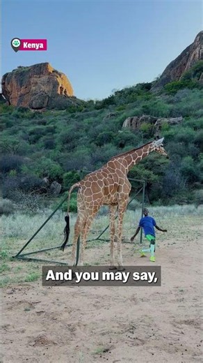 Animals Around the World!