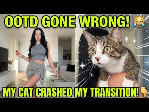 Sleek Transitions of Step-mom ,My Style Diary Lookbook 🖤