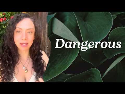 How He Uses Morality To Control You