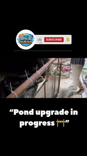 30000 ltr biofloc new setup 🎲