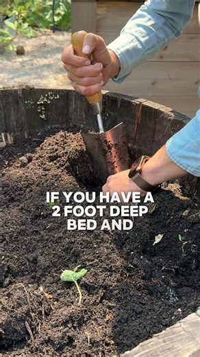 No matter how much space you have, there’s something you can grow🌱#garden #budgetgardening #plants