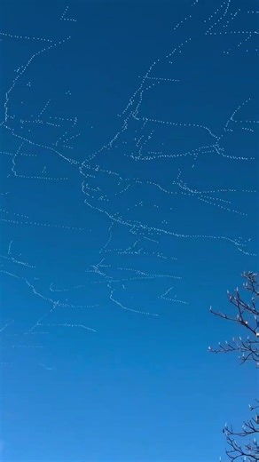 They are Taking Over the Sky