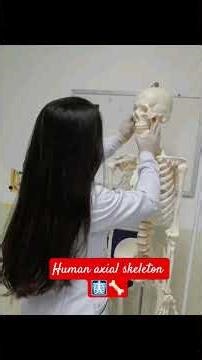 human🩻skeleton #human axial skeleton #bonesdoctor #aiimsdelhi 🦴#orthopedicsurgeon #mbbsmotivation⭐