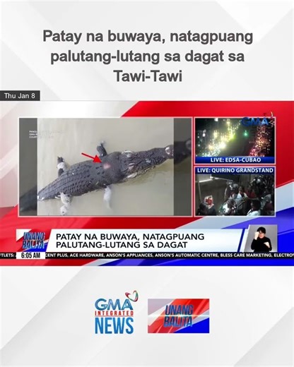 Patay na buwaya, natagpuang palutang-lutang sa dagat sa Tawi-Tawi | Unang Balita