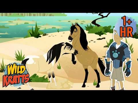 Battle of the Pony Stallion | Creature Battles | Wild Kratts