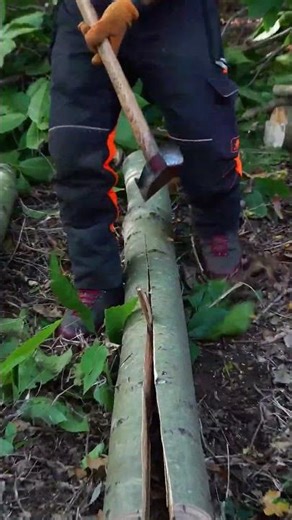 Splitting process of long logs