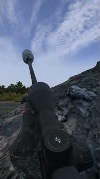 The Perfect Shot in DayZ