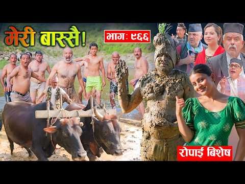 Meri Bassai | मेरी बास्सै | Ep - 966  || Nepali comedy serial new episode ||Daman, Kaji baa,Dari Baa