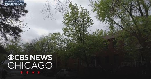 Chatham tree planting initiative helps fight flooding