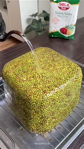 Home First Aid Kit Guide | Essential Medicines Everyone Should Know