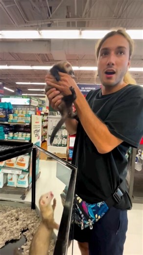 The Heartbreaking Reason This Ferret Couldn't Stop Crying#fact