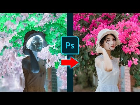 How to Convert Color Negative to Positive in Photoshop