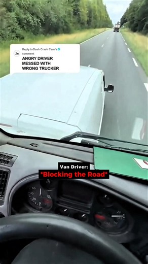 Reckless Brake Checking Van Gets Instant Karma